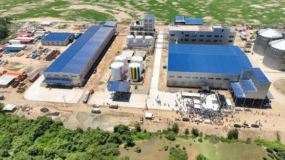 La-flamante-planta-de-San-Julián