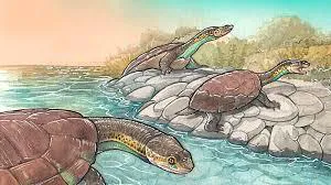 La-reconstrucción-de-la-especie-fue-realizada-por-el-artista-Gabriel-Lio.