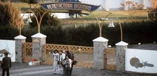 chilecoloniadignidad