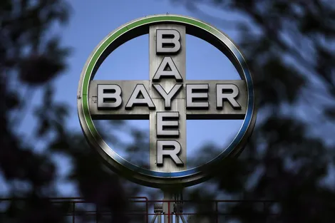 923275-bayerafp