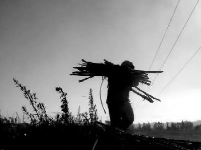 ...no-volvió-a-la-noche...