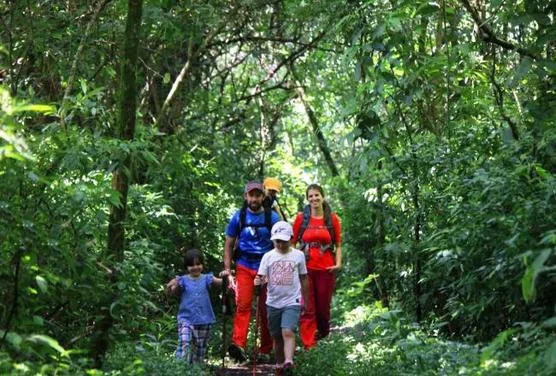 caminata-familiar-bajo-la-sombre-de-los-arboles-en-la-densidad-de-Las-Yungas