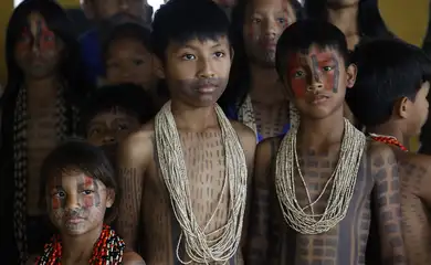 brasilindigenas