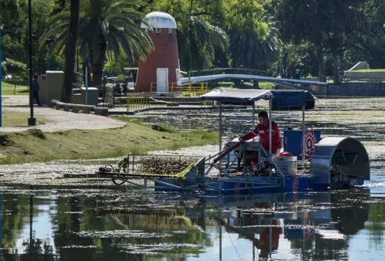 Cosechadora-de-algas