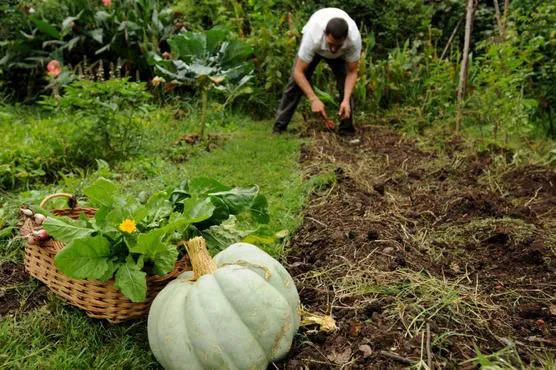Piden-el-retorno-a-sus-labores-en-Agricultura-familiar