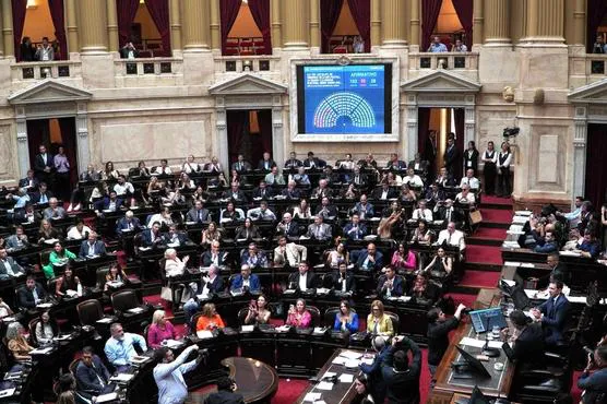 Aprobaron-la-suspensión-de-las-PASO