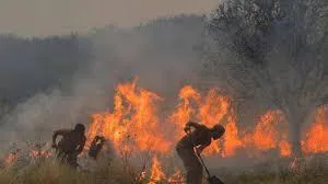 Los-incendios-forestales-dañan-el-futuro-de-Brasil