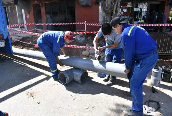 Reparación-zona-troncal