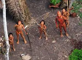 brasilamazoniaindigenas