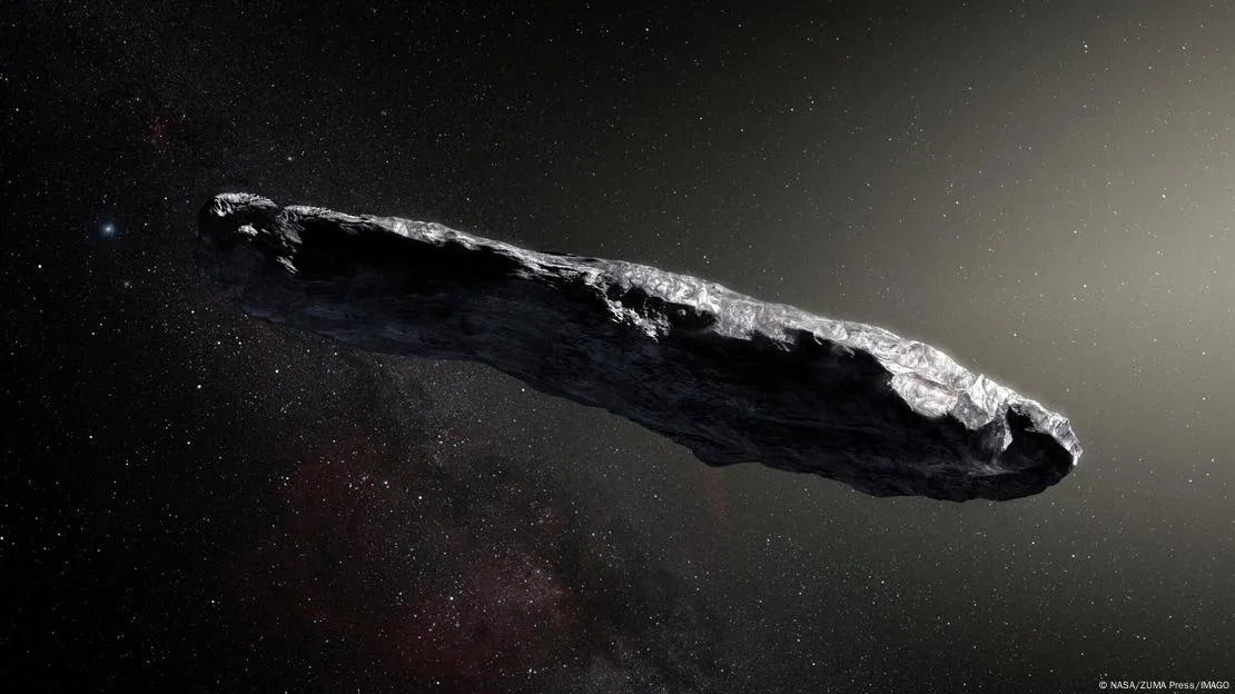 asteroicasiluna