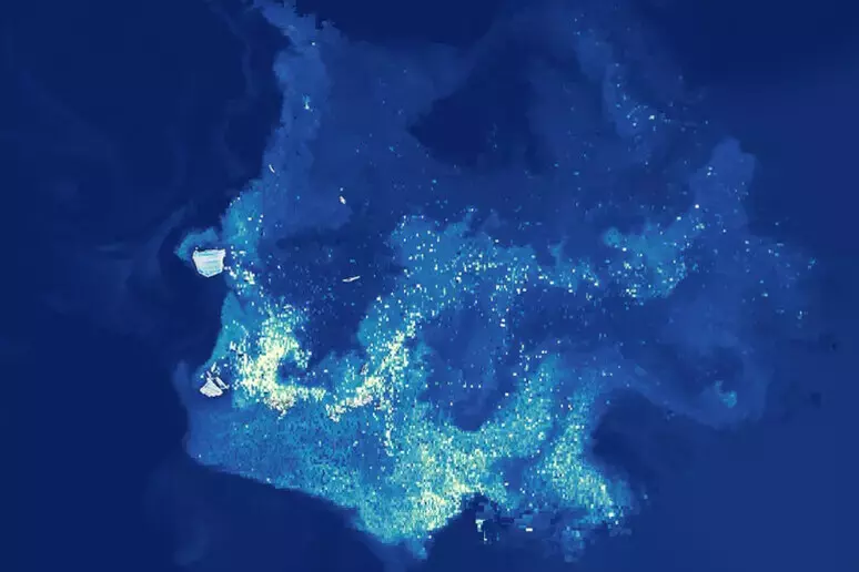 3e9588f250d188e176dc4886475619ed