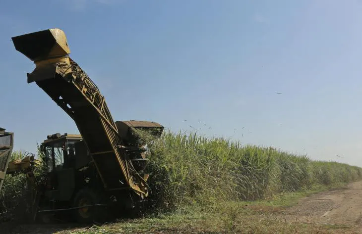 730x473_250825085843_66620