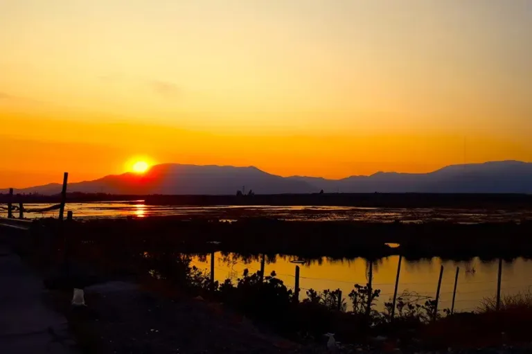 Humedal_Quilicura_Chile