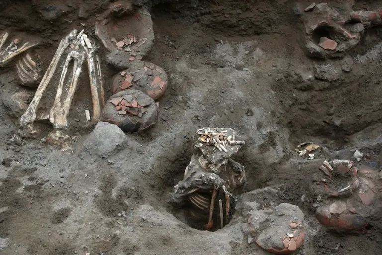 perutumbasmilenariaslima