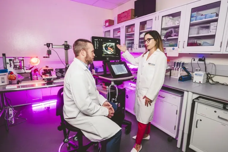 Infartos-prevencion-1