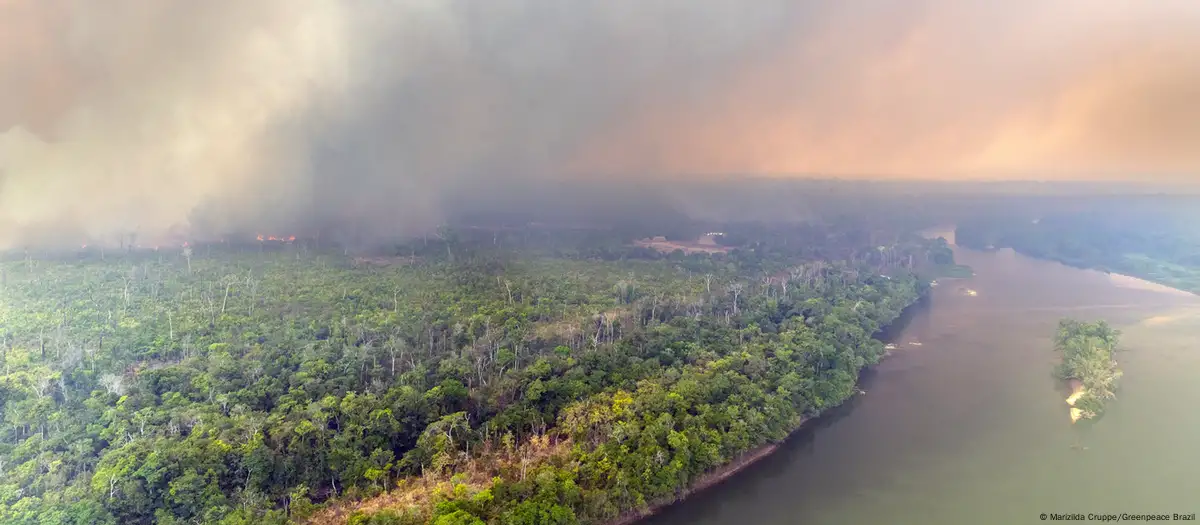 amazoniaincendiosforestales