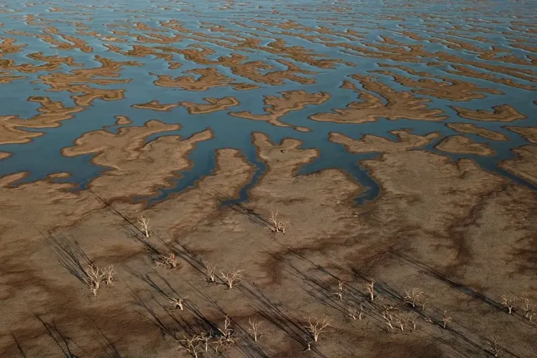 crisis-climatica-cij-grave