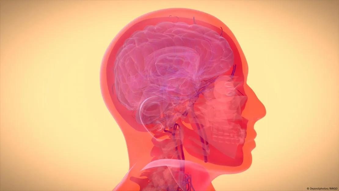 contaminaciondañocerebral
