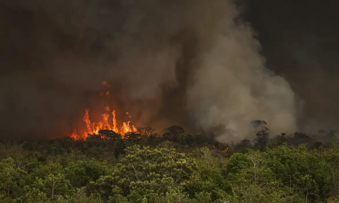 brasilincendioenamazonia