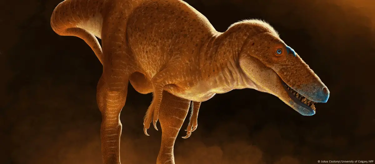 tiranosaurio