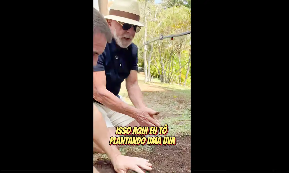 lula_plantando_uva