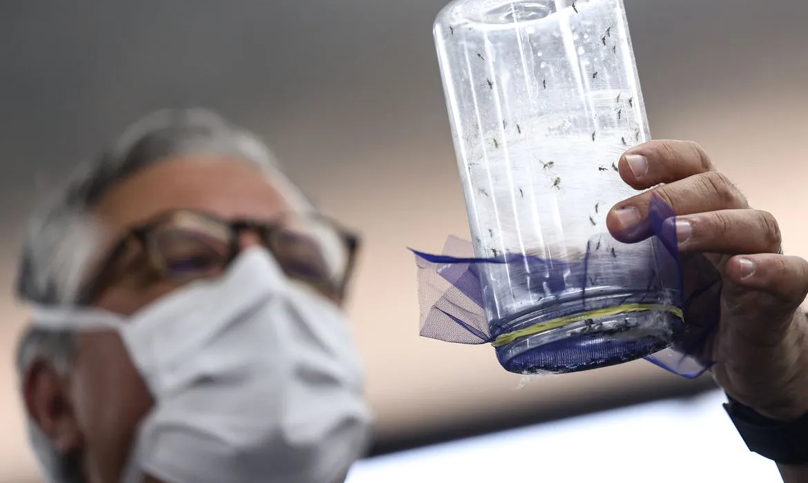brasilfabricacontramosquitosdengue
