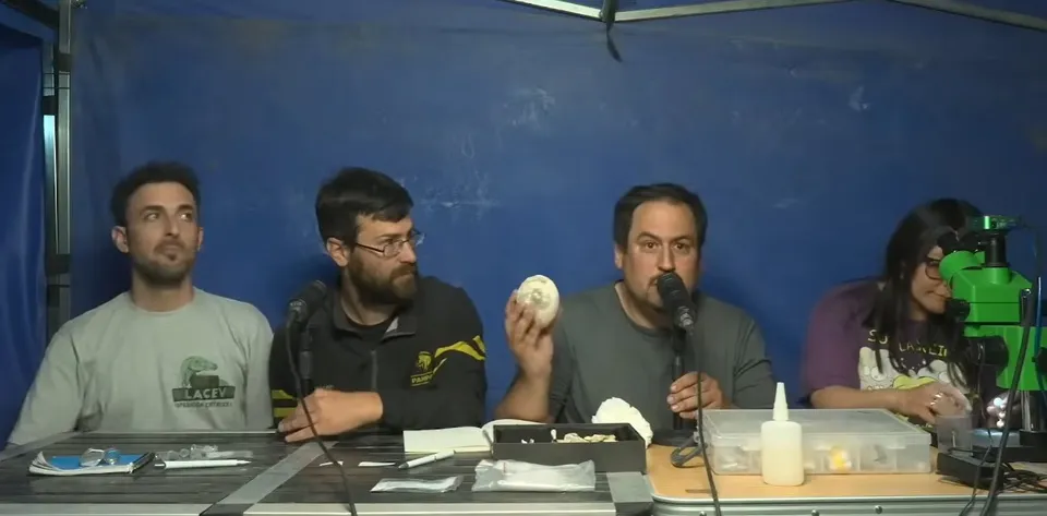 conicet-20dinosaurios