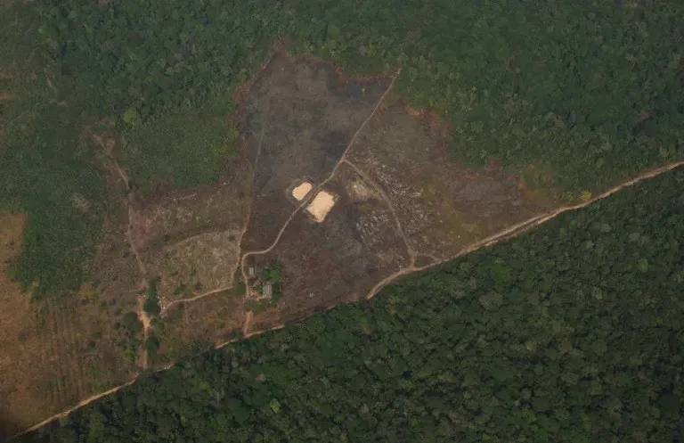 Brasil-Amazonia-2deforestación