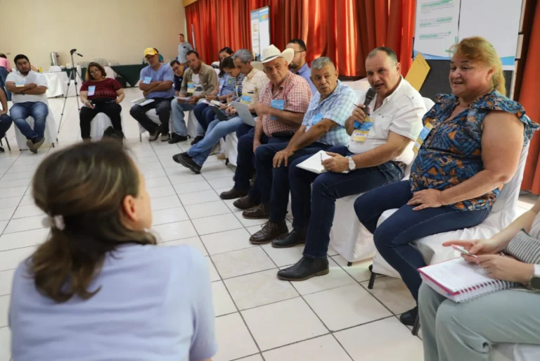 guatemaorganizacionesindigenas