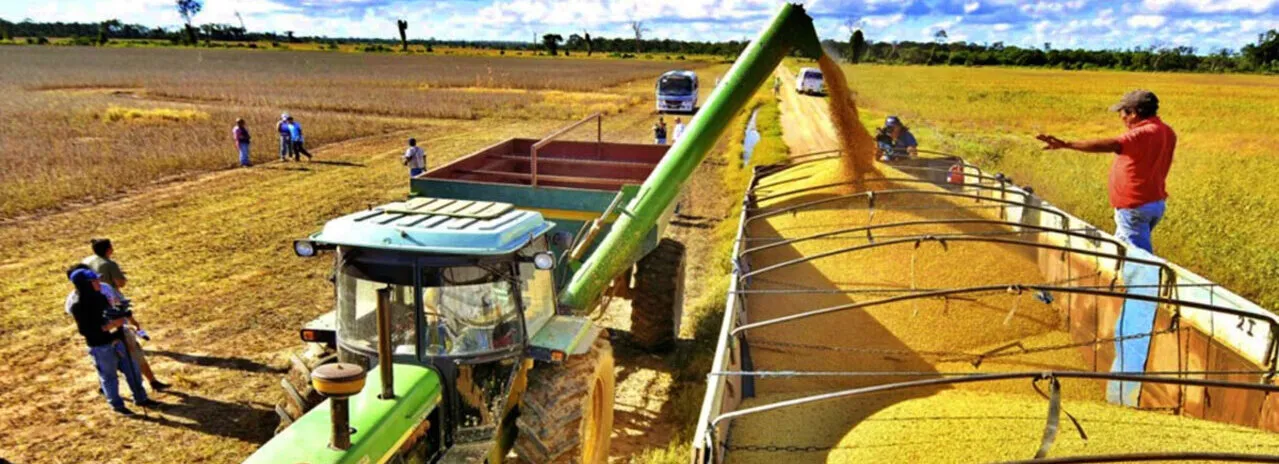 boliviasoja