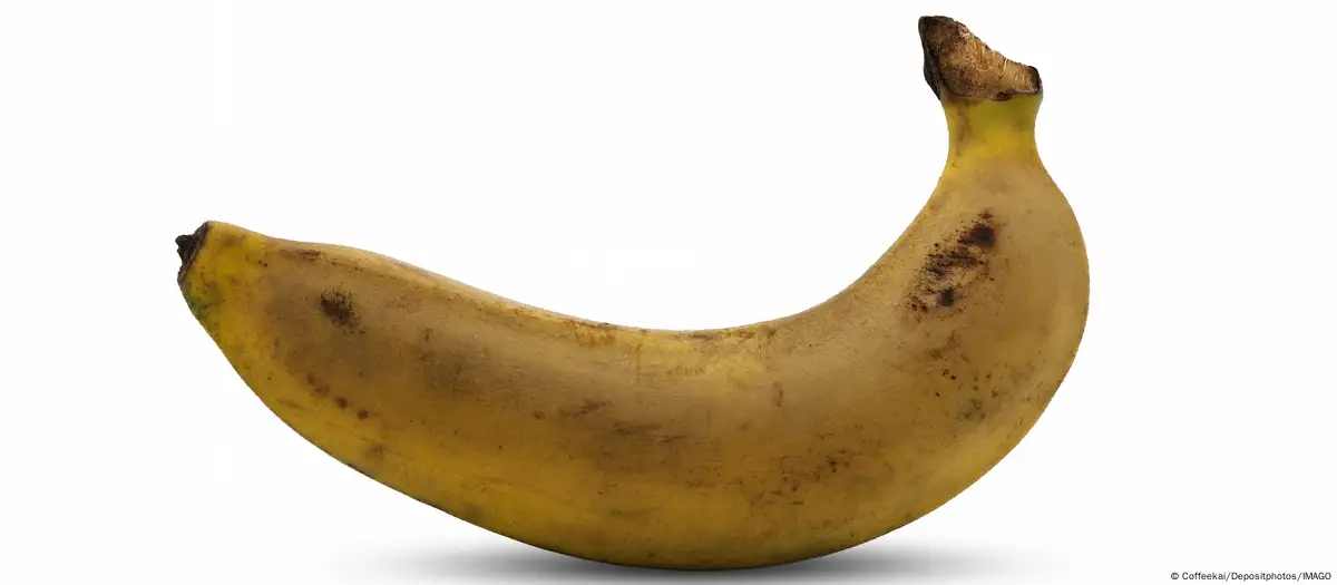 bananaporonga