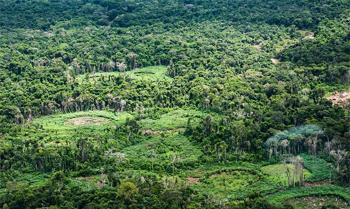 terra_indigena_ti_panara_na_amazonia01