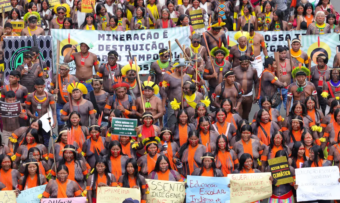 brasilindigenasmovilizados4