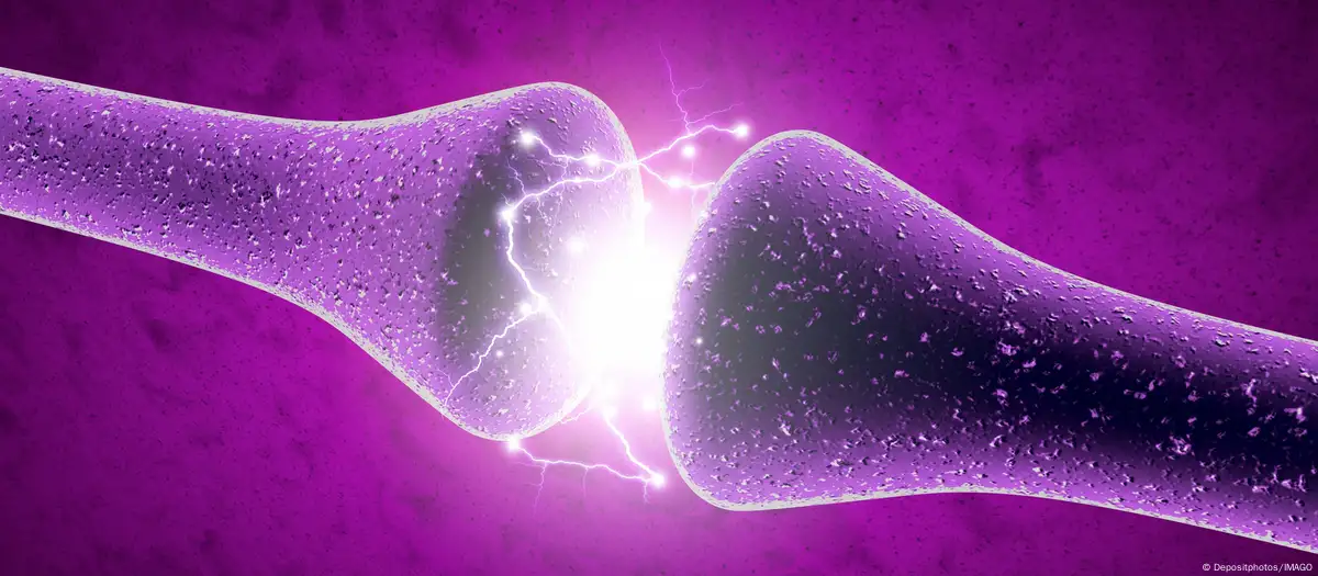 neuronasartificiales