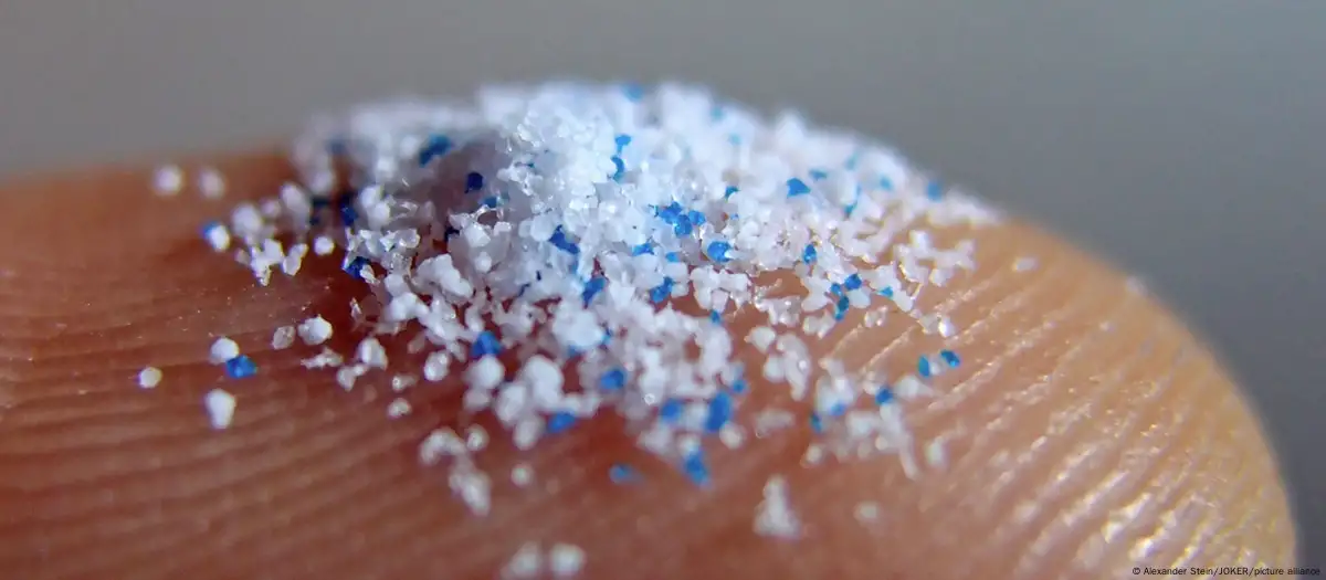 microplasticosvasos
