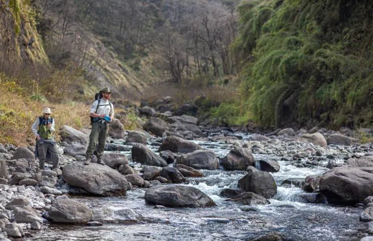 730x473_250509092144_52707