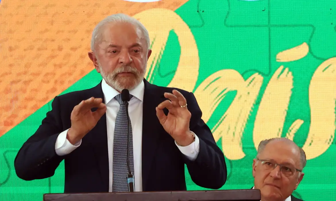 brasillulaelegante