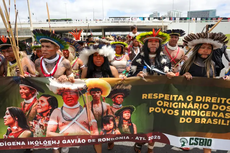 brasilindigenasmovilizados2