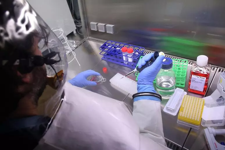 laboratoriodealtacomplejidad
