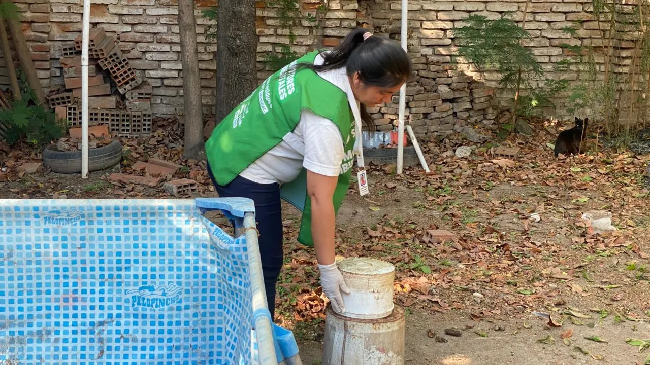 operatyivvovconttadengue