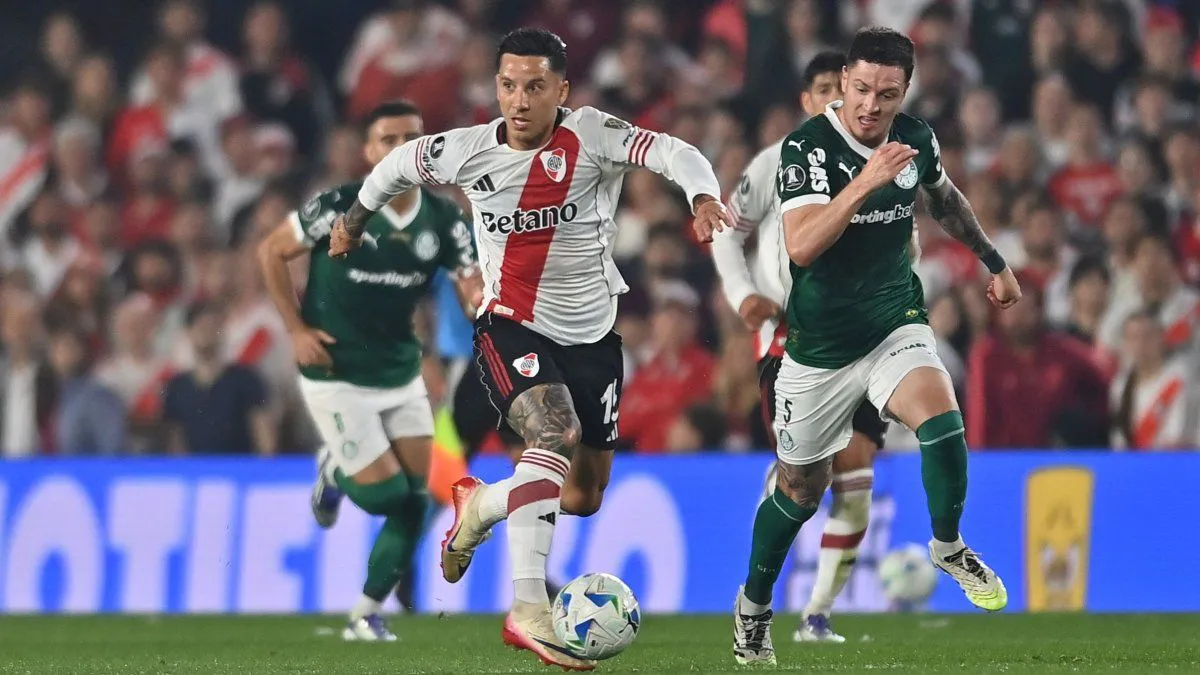 river-palmeiras-2