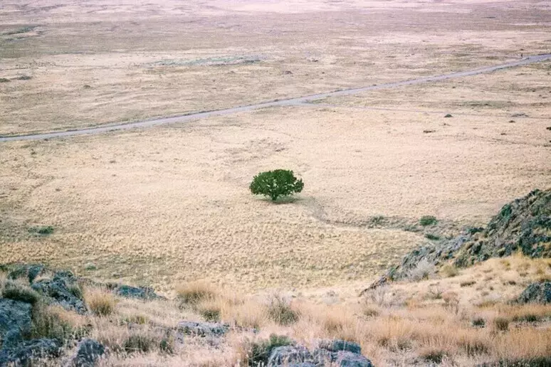 desertificacion