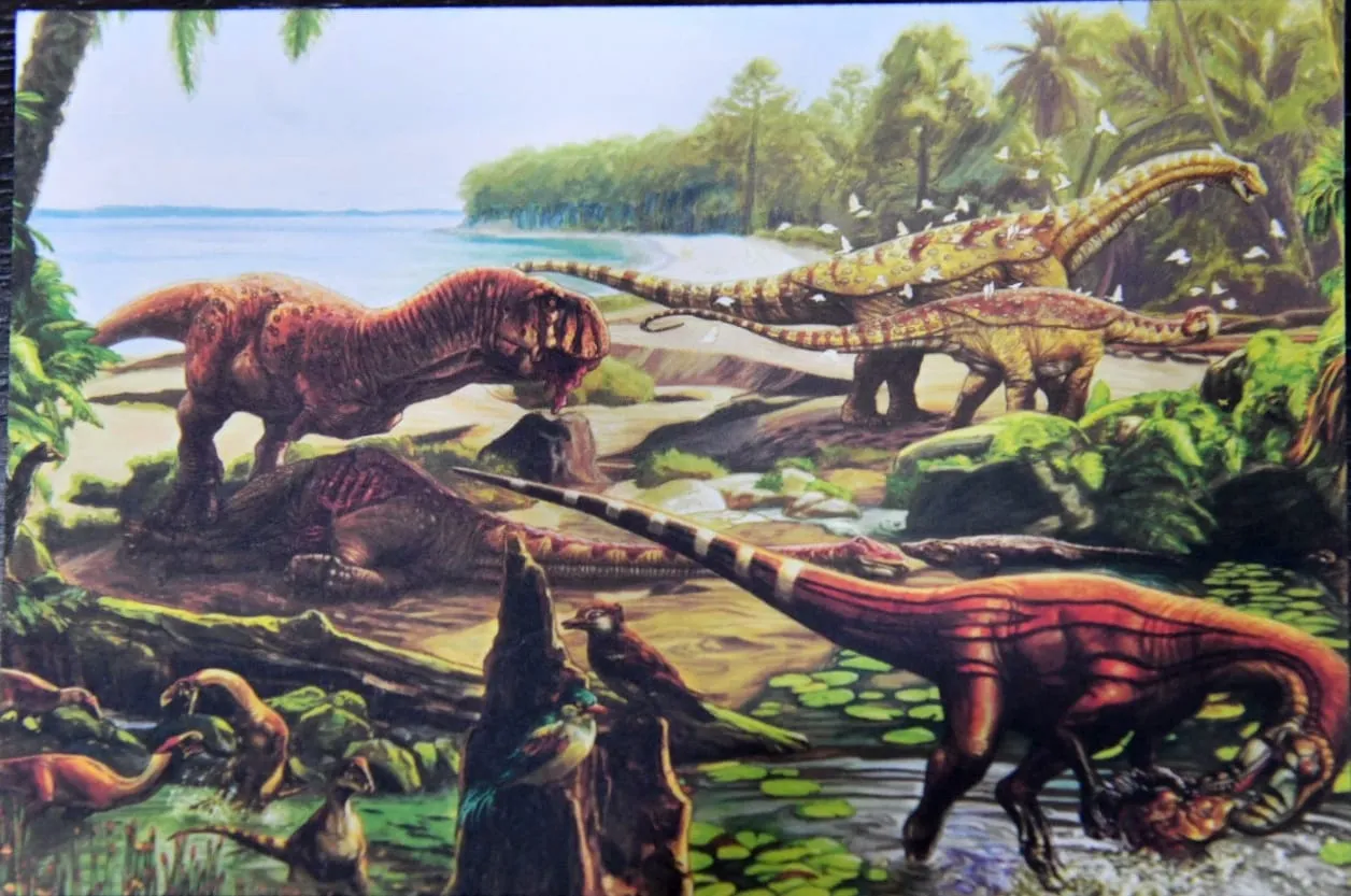 imagen_2025-03-12_115856356