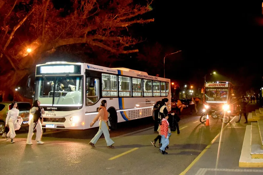 bus